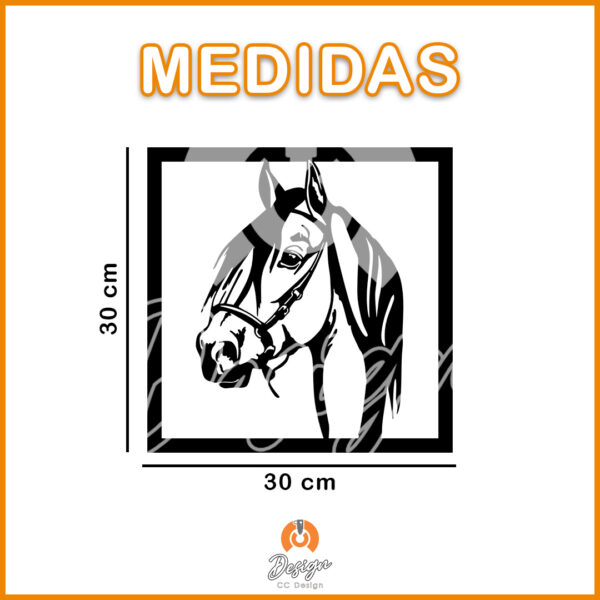 CABALLO CARA - Imagen 2